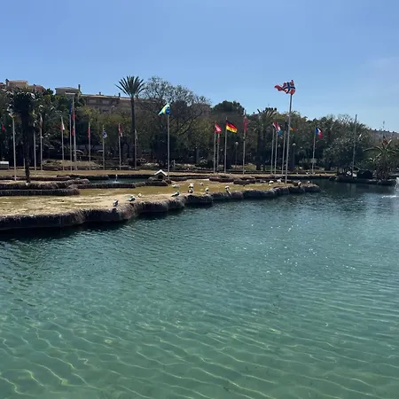 Apestrella Torrevieja